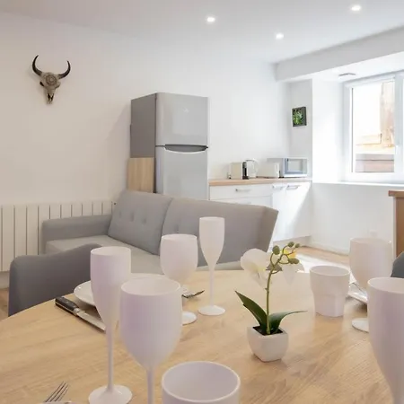 Apartment Cosmo Ideal Famille Rue Carnot Annecy