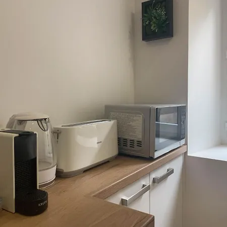Cosmo Ideal Famille Rue Carnot Apartment Annecy